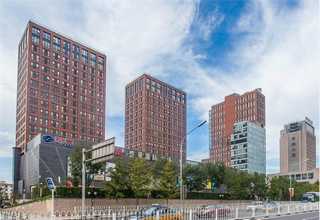 网站建设管理建设咨询网站